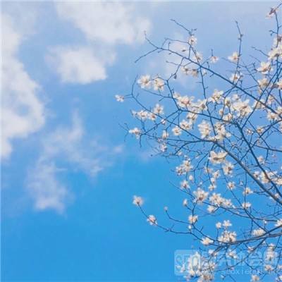 亦剑修仙正版下载
